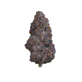 Flor premium - LEMON  CHERRY GELATO • SATIVA 3.5 G