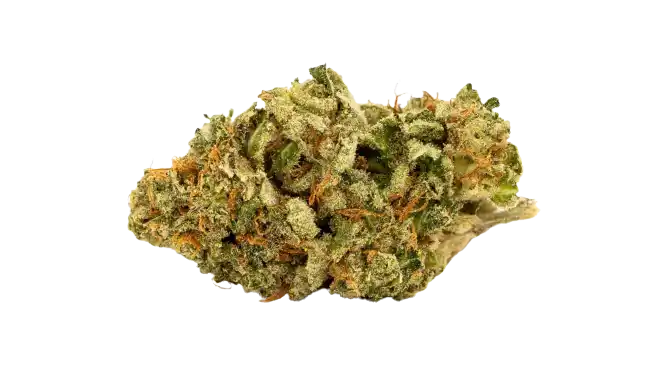 White Widow – Híbrida